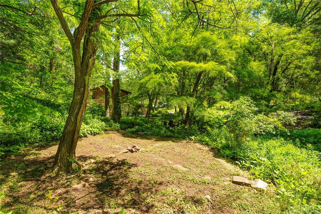 15 Spring Cove Road Asheville, NC 28804 - Photo 3 of 24 Gallery Image 3
