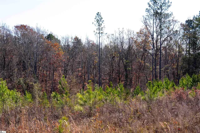 $499,000 | 0 Tv Tower Road, Ware Shoals, SC 29692