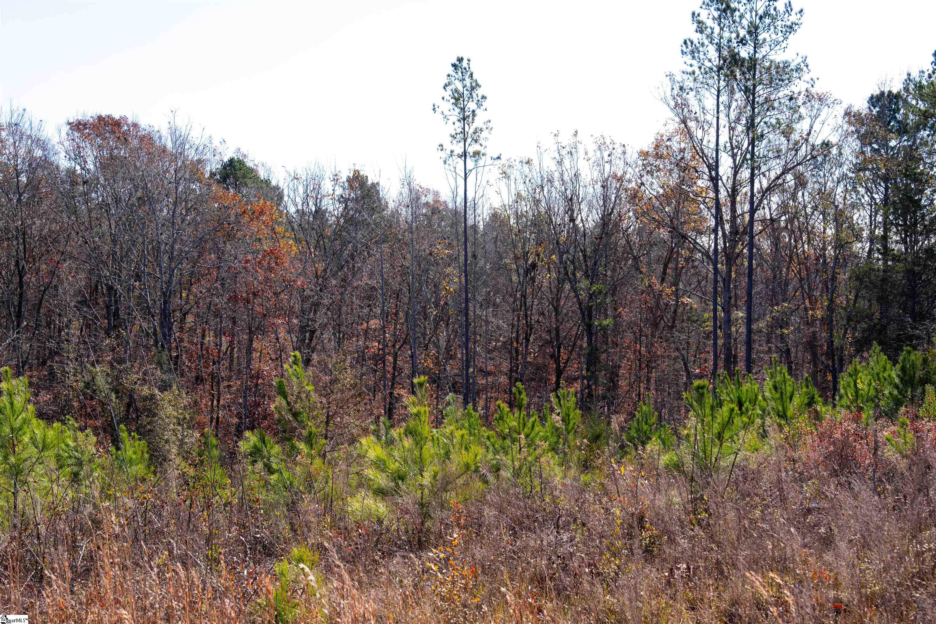 0 Tv Tower Road Ware Shoals, SC 29692 - Photo 22 of 27