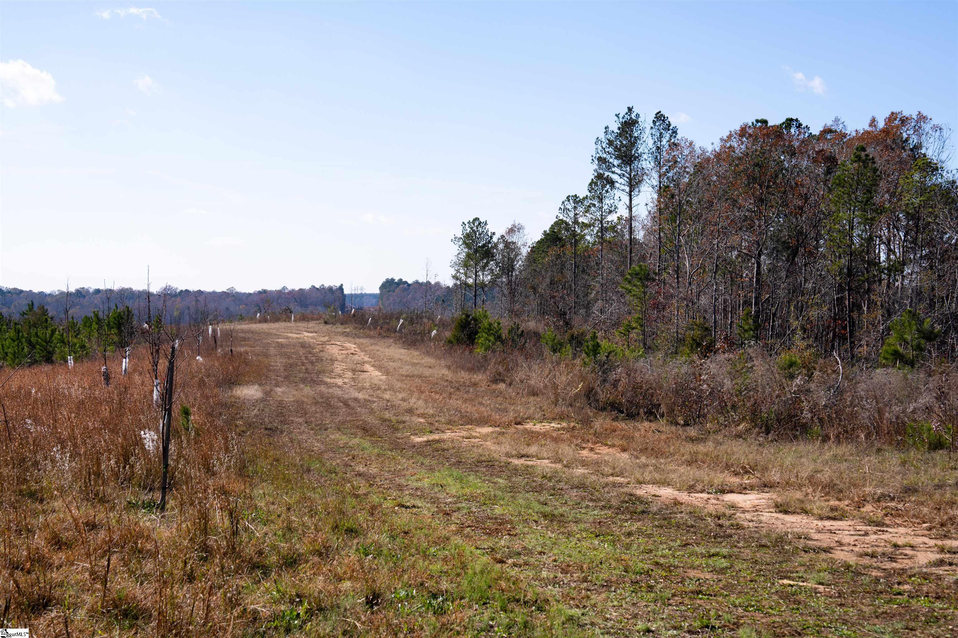 0 Tv Tower Road Ware Shoals, SC 29692 - Photo 23 of 27