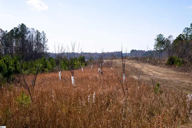 $499,000 | 0 Tv Tower Road, Ware Shoals, SC 29692