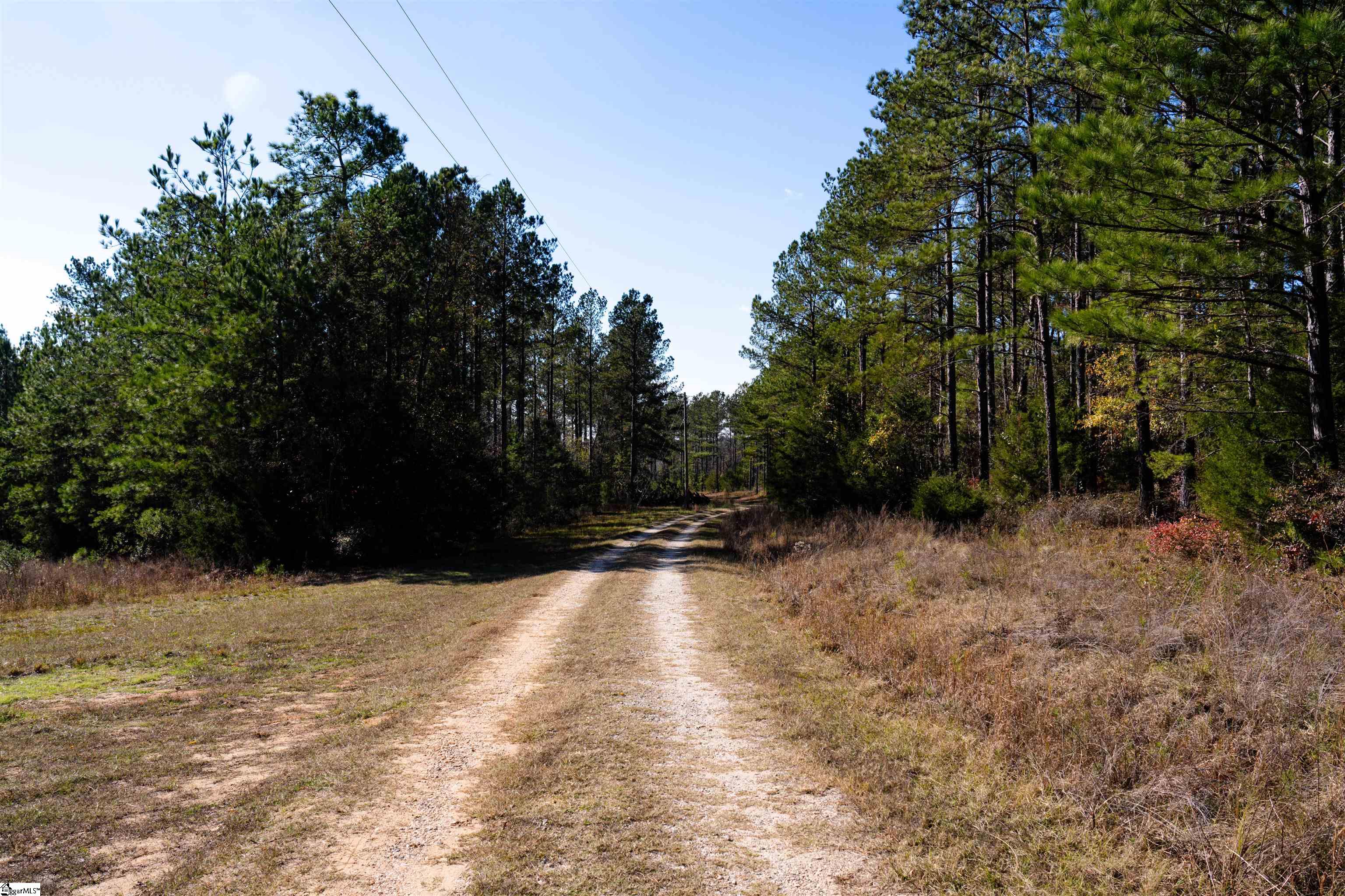 0 Tv Tower Road Ware Shoals, SC 29692 - Photo 26 of 27