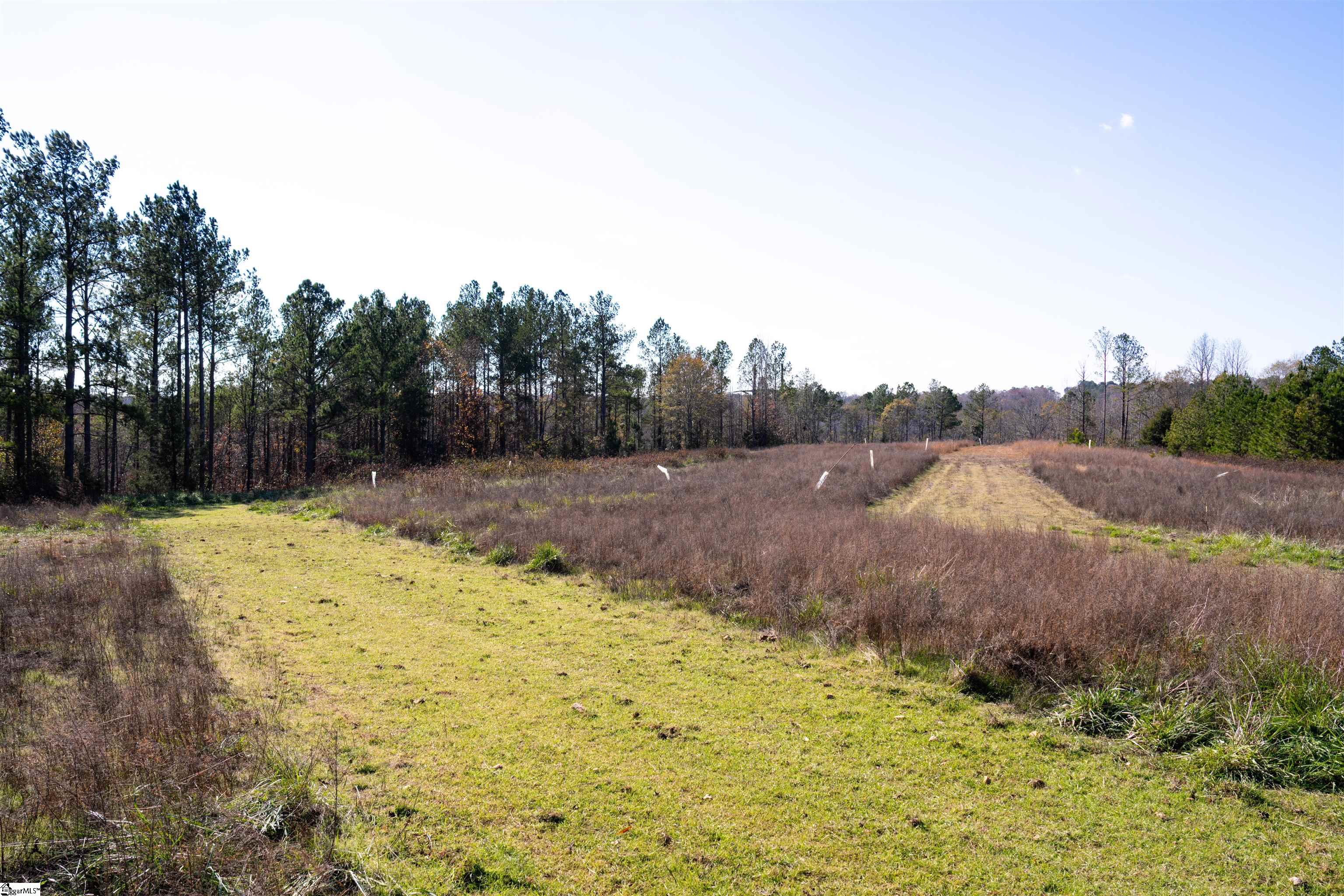 0 Tv Tower Road Ware Shoals, SC 29692 - Photo 27 of 27