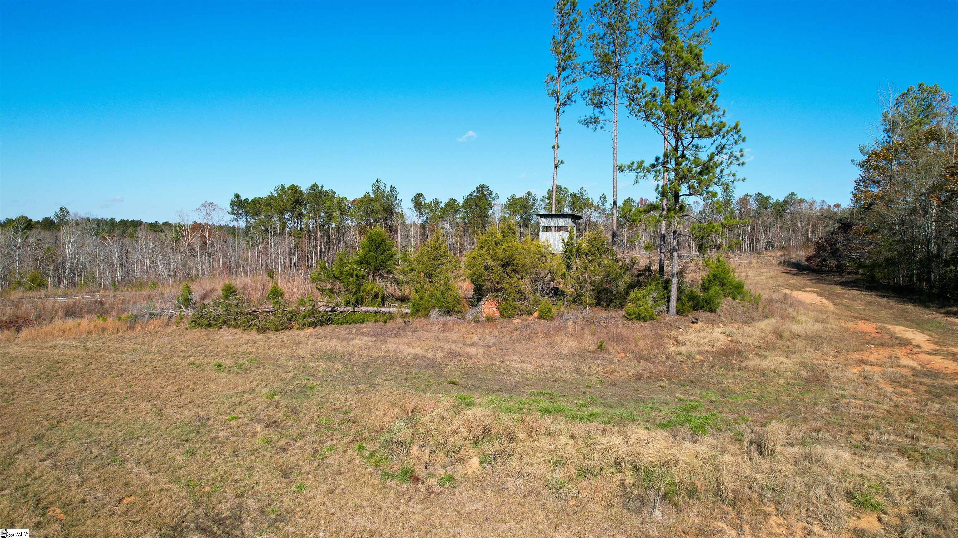 0 Tv Tower Road Ware Shoals, SC 29692 - Photo 6 of 27