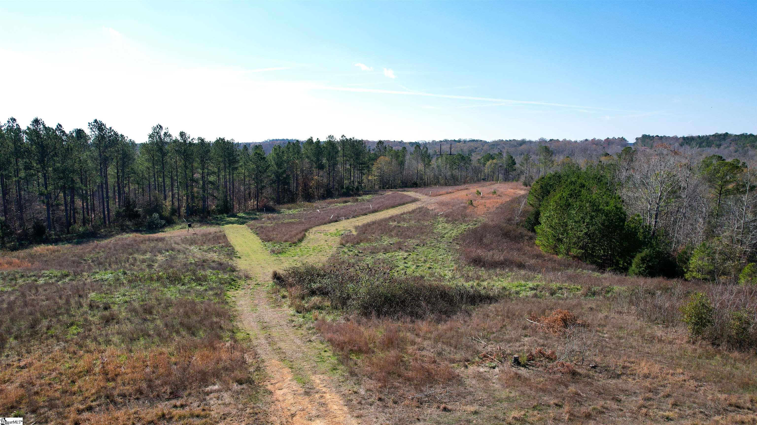 0 Tv Tower Road Ware Shoals, SC 29692 - Photo 7 of 27