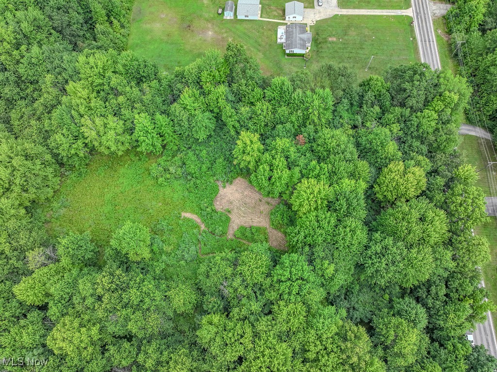 V/l Austin Road Geneva, OH 44041 - Photo 5 of 11 This picture of the land from the South Side of the Property looking to the North side of the property so Austin Road is to the right.