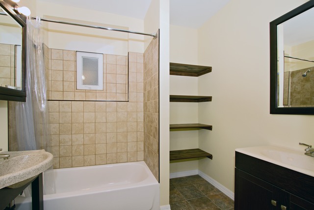 1512 South Springfield Avenue Chicago, IL 60623 - Photo 3 of 13 a bathroom with a bathtub and a shower