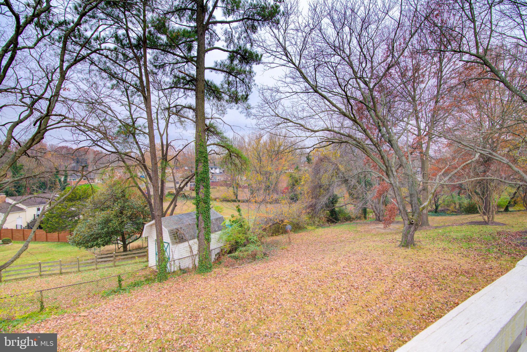 4103 Ivanhoe Lane Alexandria, VA 22310 - Photo 26 of 29 a view of a yard with plants and trees