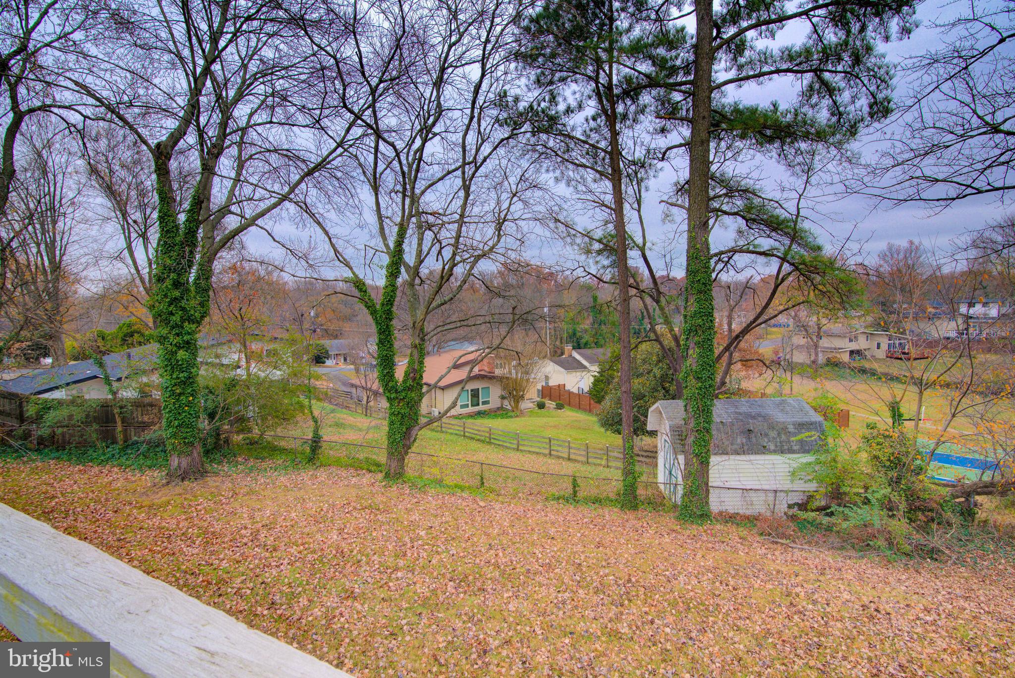 4103 Ivanhoe Lane Alexandria, VA 22310 - Photo 27 of 29 a view of backyard with tree