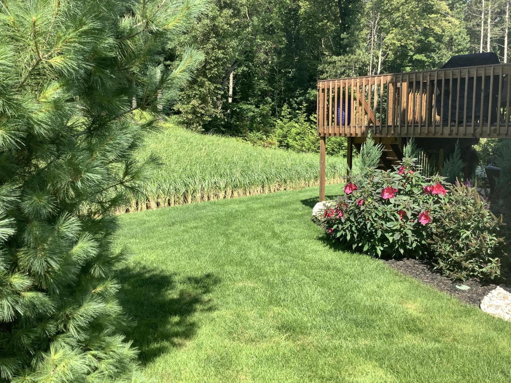 12651 Riverton Road Grand Haven, MI 49417 - Photo 52 of 79 Back yard Garden