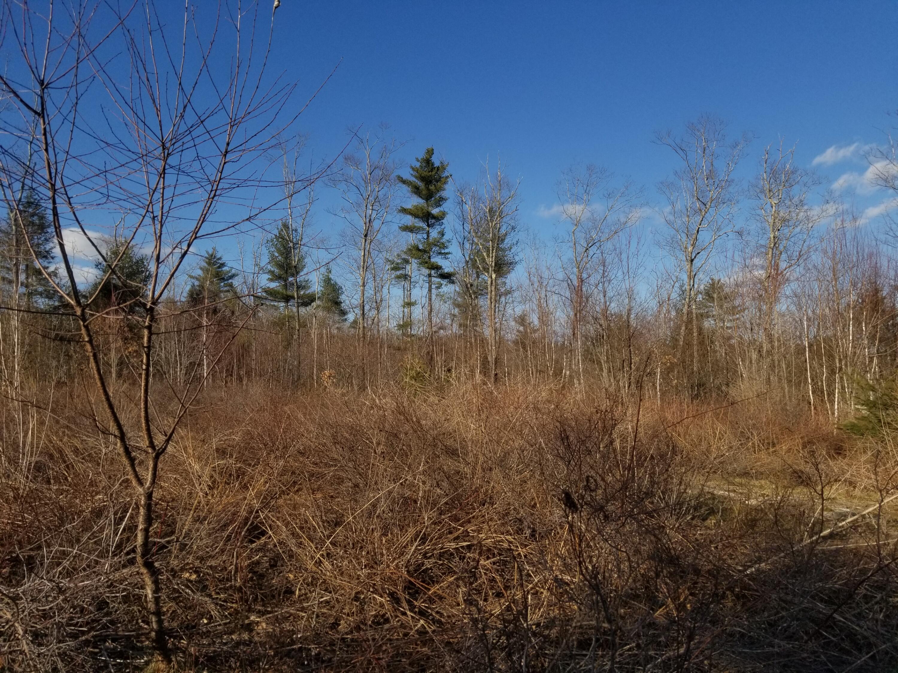 Lot 3 Middle Road Woolwich, ME 04579 - Photo 21 of 22 20230324_165517
