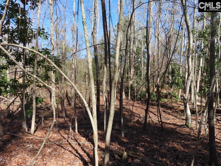 0 Rion Road Winnsboro, SC 29180 - Photo 25 of 42