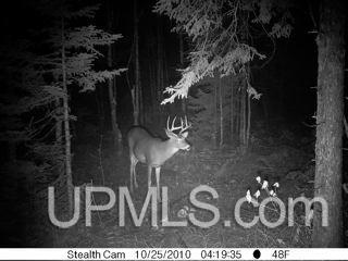 N1766 Old Plank Road Wetmore, MI 49895 - Photo 25 of 25