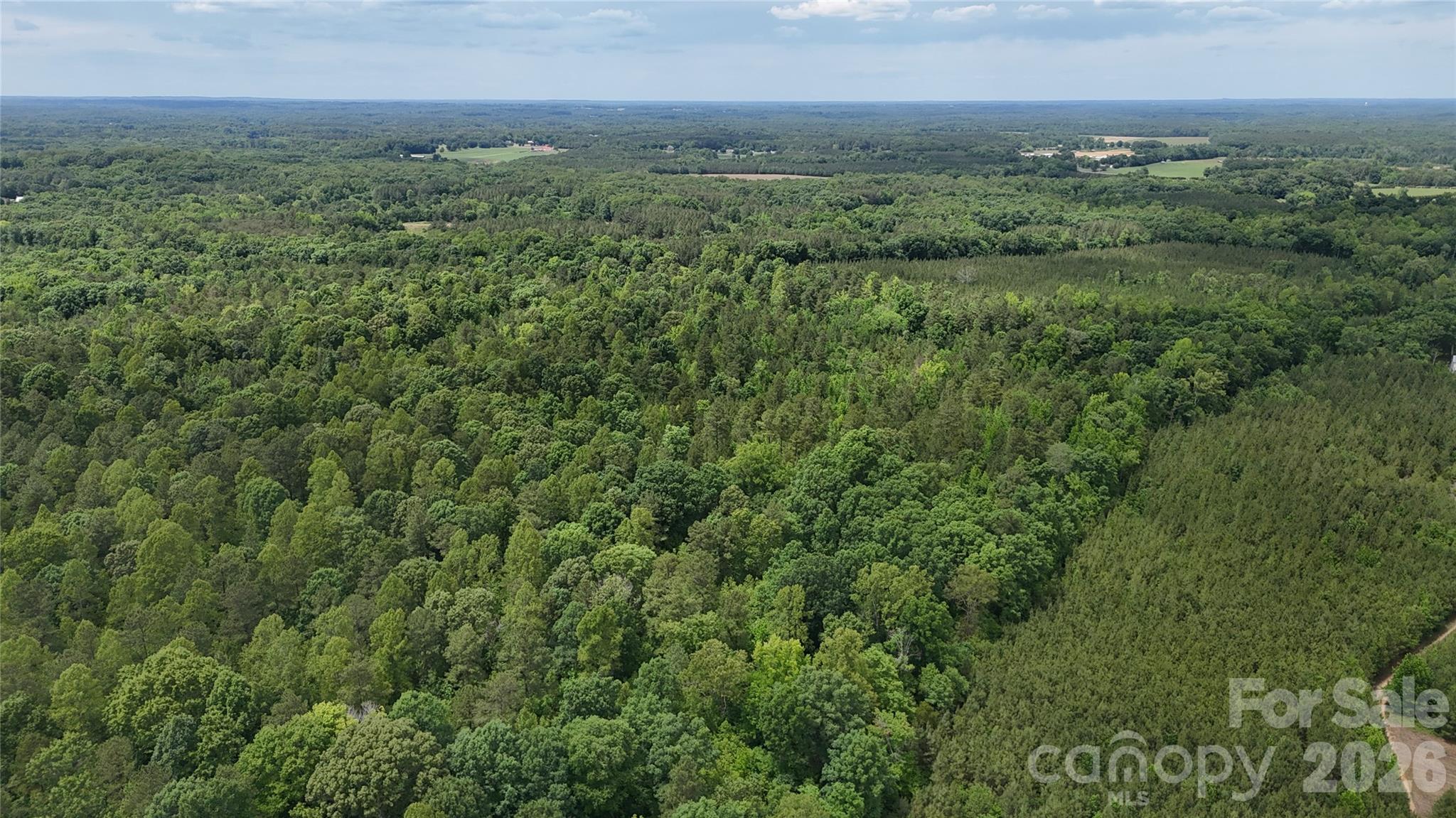 0 Herbert Faucette Road Bullock, NC 27507 - Photo 22 of 40