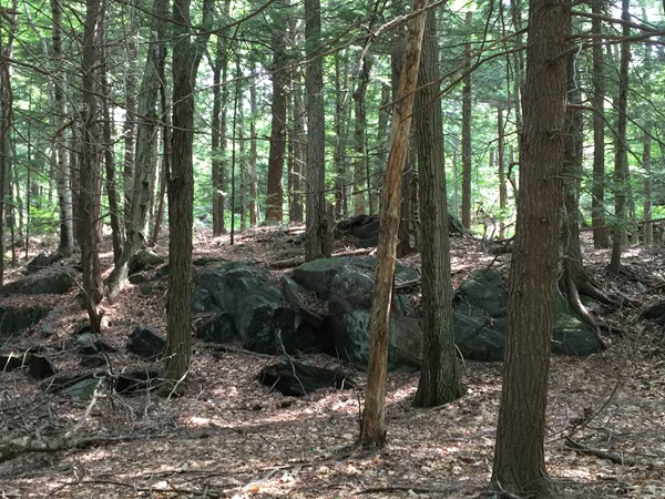 0 South Cemetery Road Ashfield, MA 01330 - Photo 7 of 8 Gallery Image 7