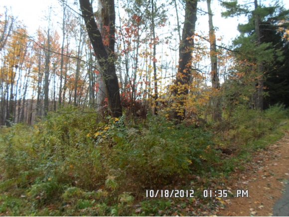 459 Hoadley Hill Road Windsor, NY 13865 - Photo 3 of 6