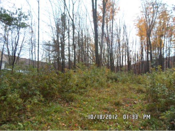 459 Hoadley Hill Road Windsor, NY 13865 - Photo 4 of 6