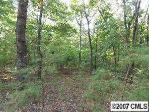 2996 North Olivers Cross Road Newton, NC 28658 - Photo 1 of 8 Gallery Image 1