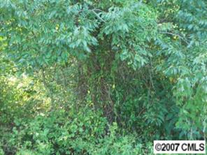 2996 North Olivers Cross Road Newton, NC 28658 - Photo 7 of 8 Gallery Image 7