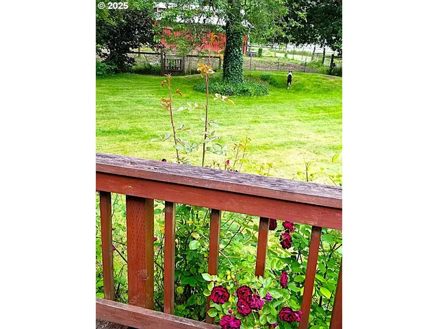 a view of a backyard with a garden and plants