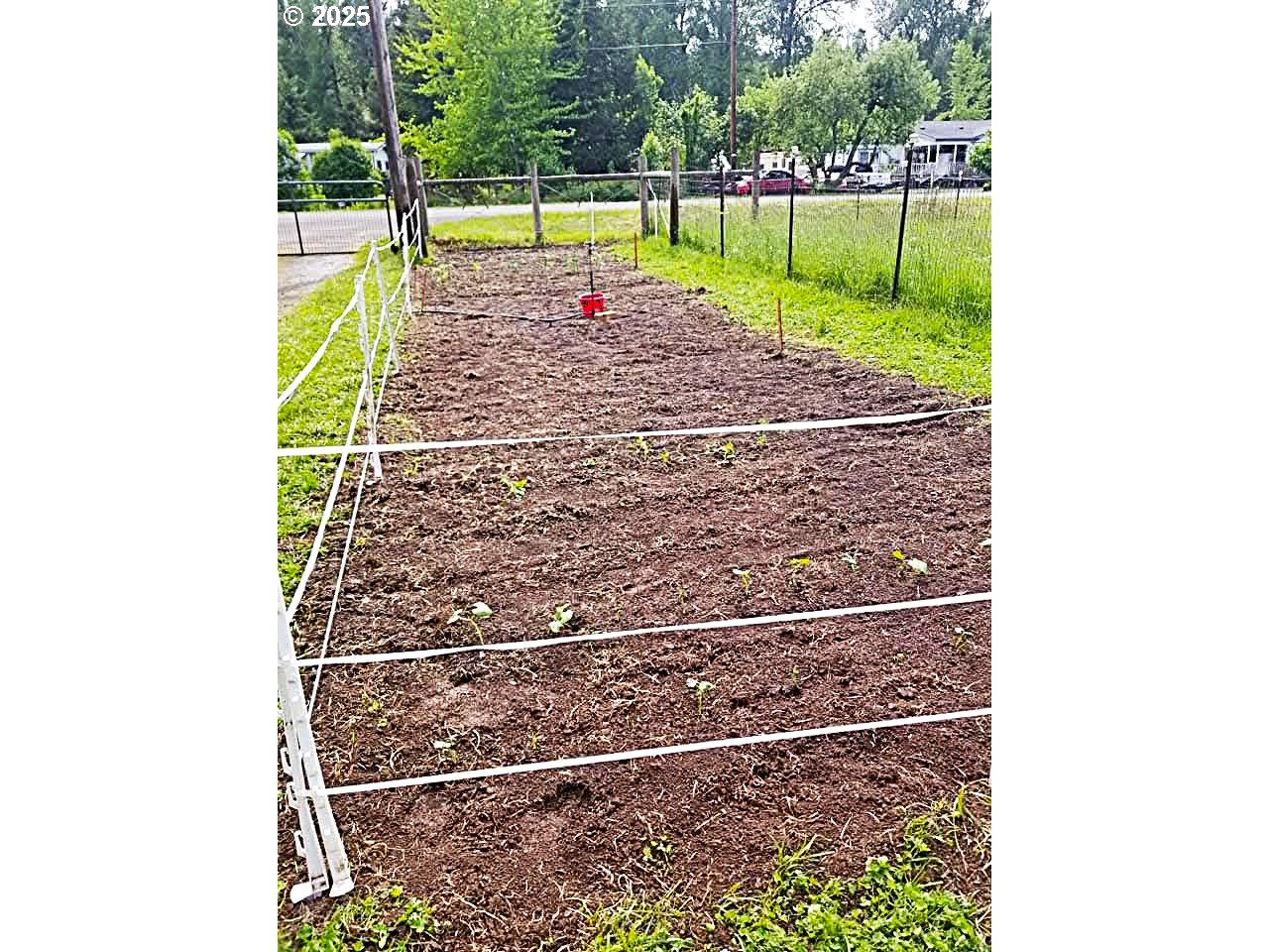 38717 Dexter Road Dexter, OR 97431 - Photo 28 of 38 a view of a backyard with a garden and plants