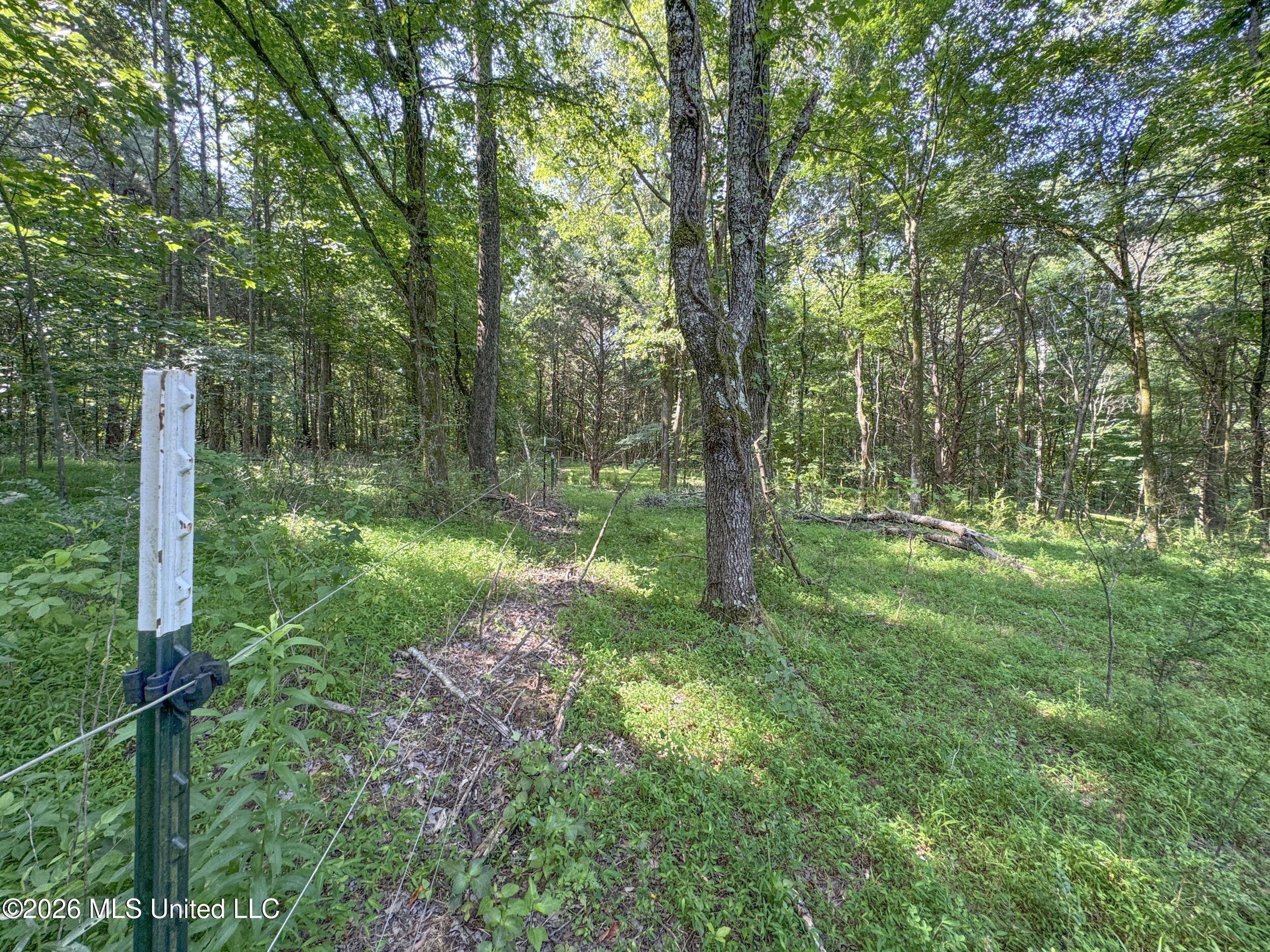 2169 Slocum Road Hernando, MS 38632 - Photo 69 of 94 8slcm28