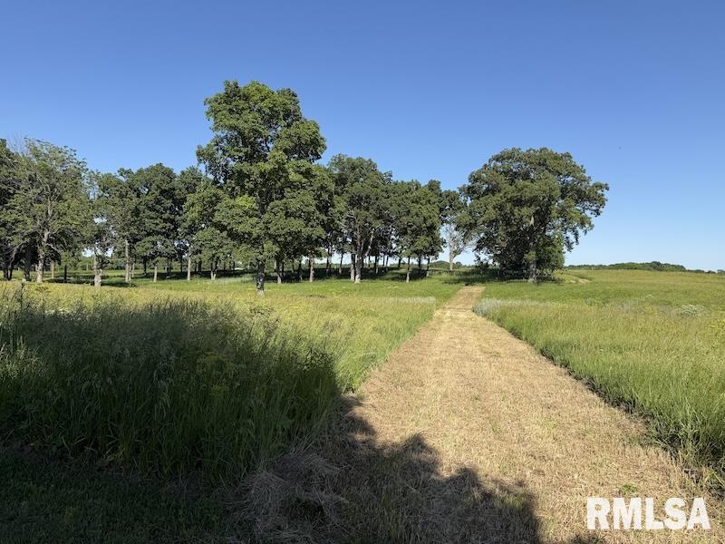 596 East 2250th Road Westfield, IL 62474 - Photo 18 of 61