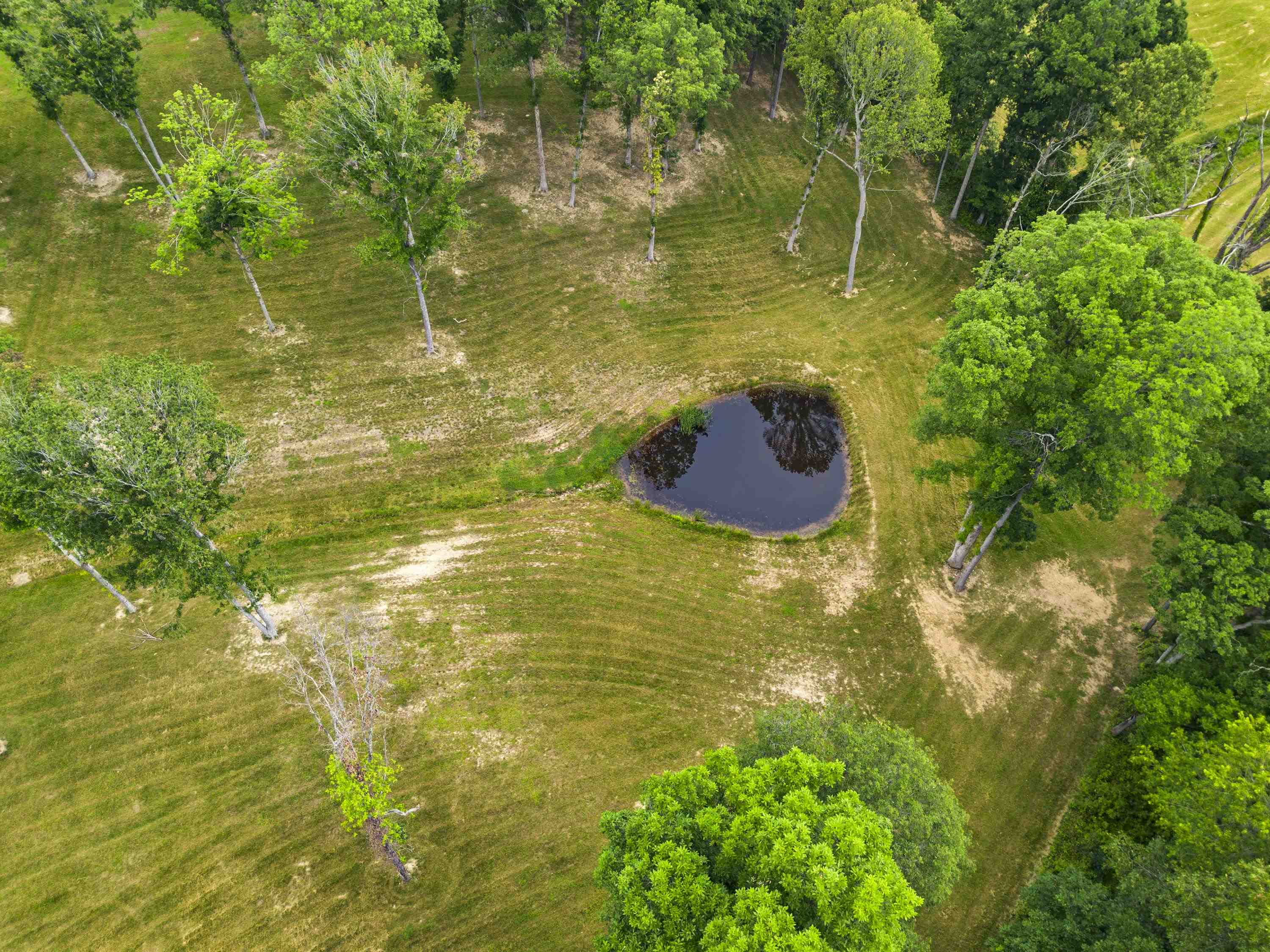 0 Salem Road Grayson, KY 41143 - Photo 5 of 25