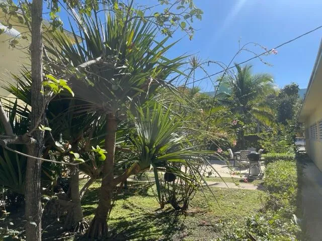 a backyard of a building