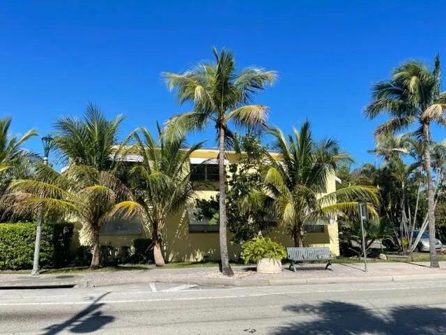 a view of a palm trees
