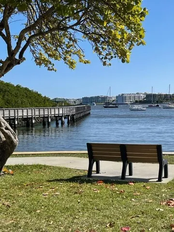 a view of a lake from a yard