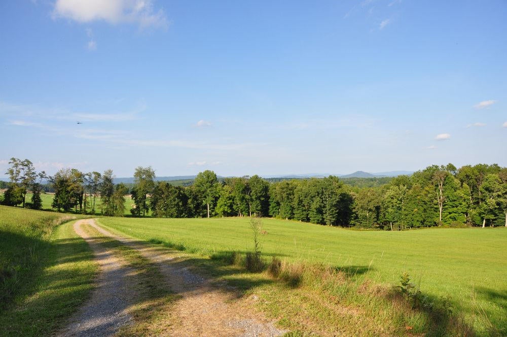 100 Raven Ridge Way Lewisburg, WV 24901 - Photo 49 of 58 Gallery Image 49