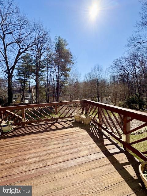6825 Spring Beauty Court Springfield, VA 22152 - Photo 22 of 51 a view of outdoor space with garden