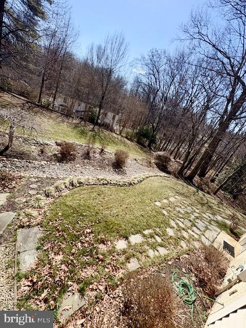 6825 Spring Beauty Court Springfield, VA 22152 - Photo 23 of 51 a view of a yard with large trees