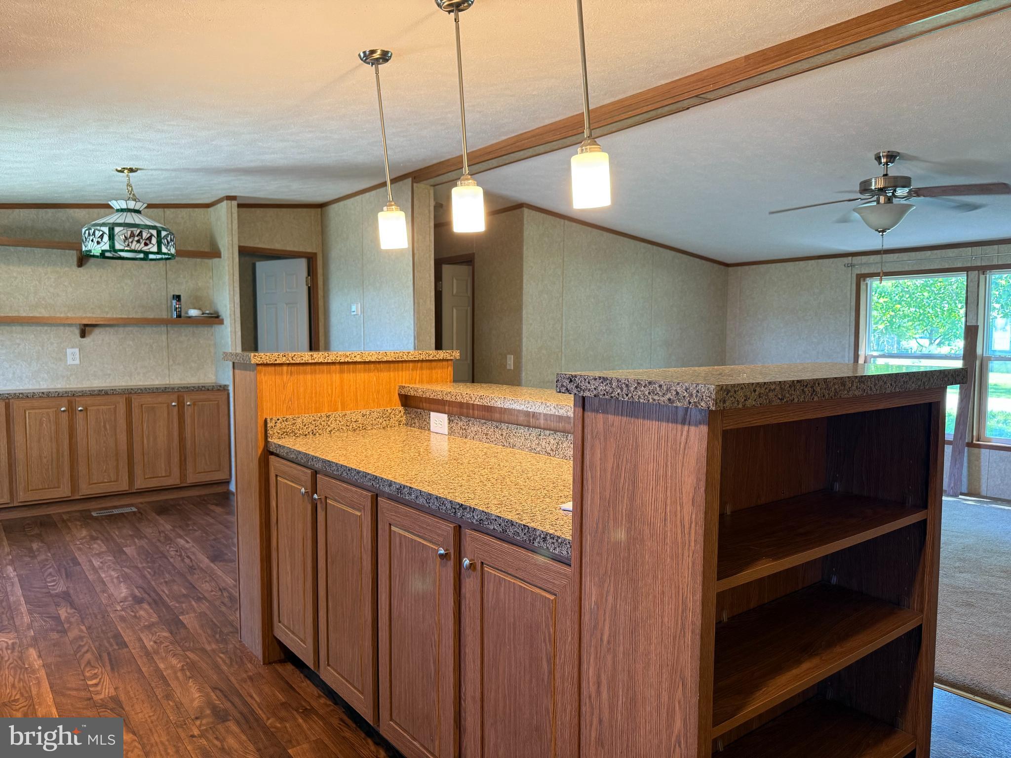 32610 Old Stage Road Laurel, DE 19956 - Photo 5 of 23 Bar and additional cabinet space