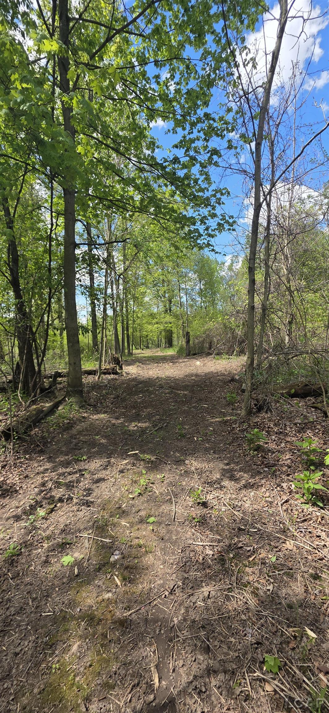 15252 27 Mile Road Albion, MI 49224 - Photo 22 of 57
