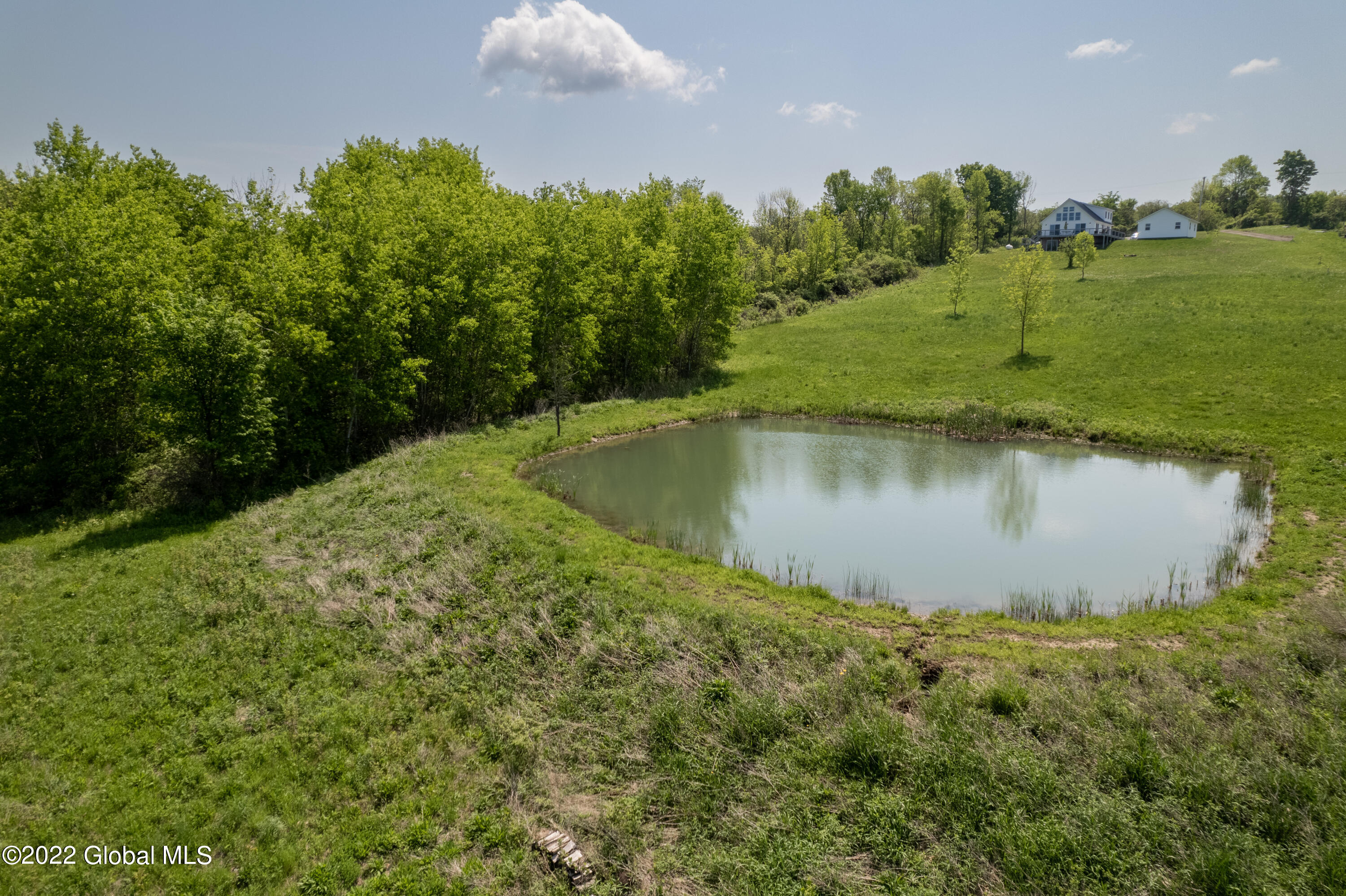 147 Firefly Meadow Road Fultonville, NY 12072 - Photo 9 of 49 DJI_0857-HDR-Edit