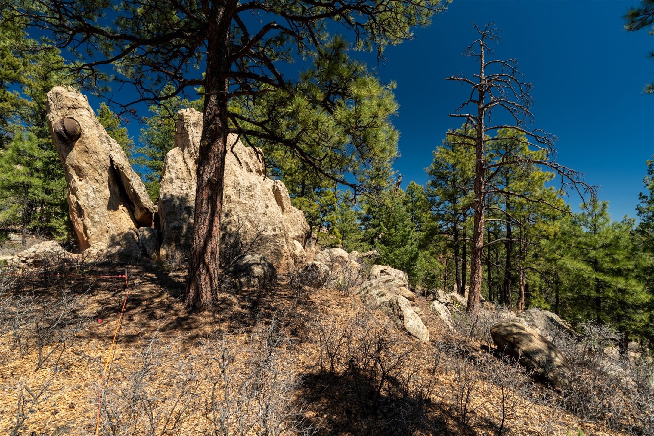 30 Monte La Cueva Road Glorieta, NM 87535 - Photo 56 of 91