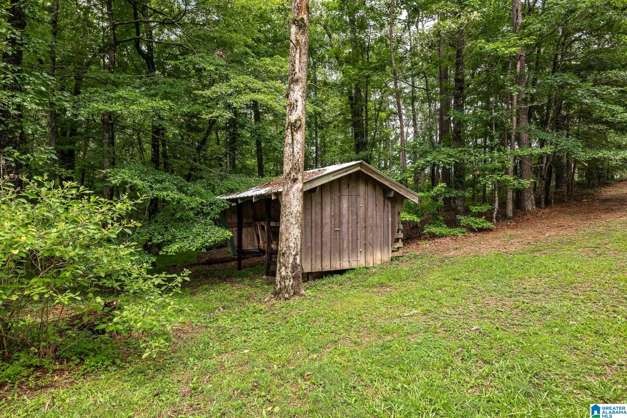 860 Sweet Apple Road Pell City, AL 35128 - Photo 52 of 62