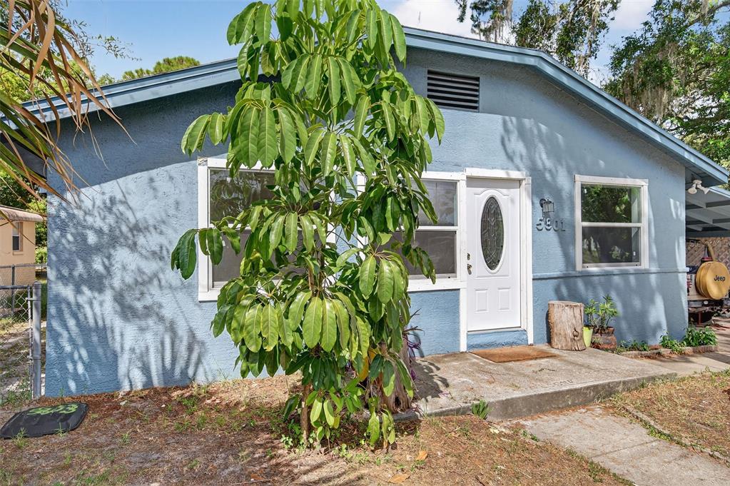 5801 Virginia Avenue New Port Richey, FL 34652 - Photo 7 of 81