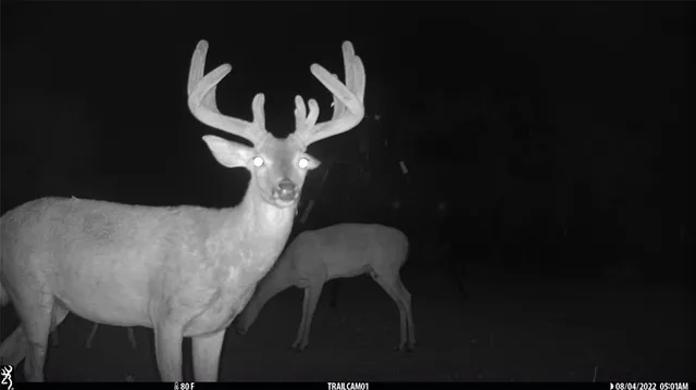 a balcony with table and chairs