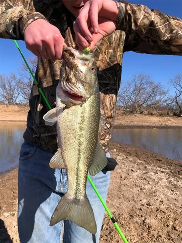 a vase of flowers sitting on a table