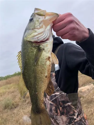 a close up of a painting of a wall