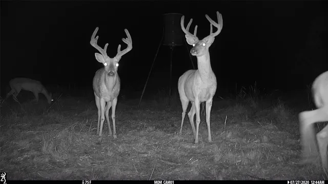 a close view of a fireplace in a room