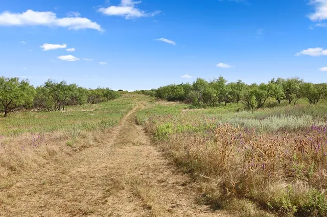 a view of lake with mountain