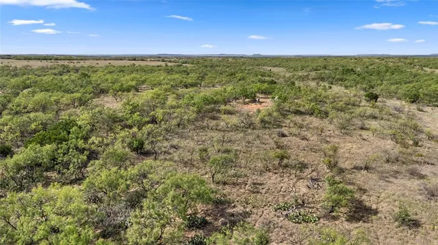 a view of a city with lush green forest