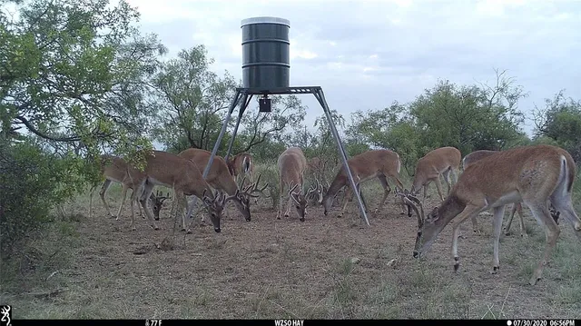 a view of an outdoor space with seating area
