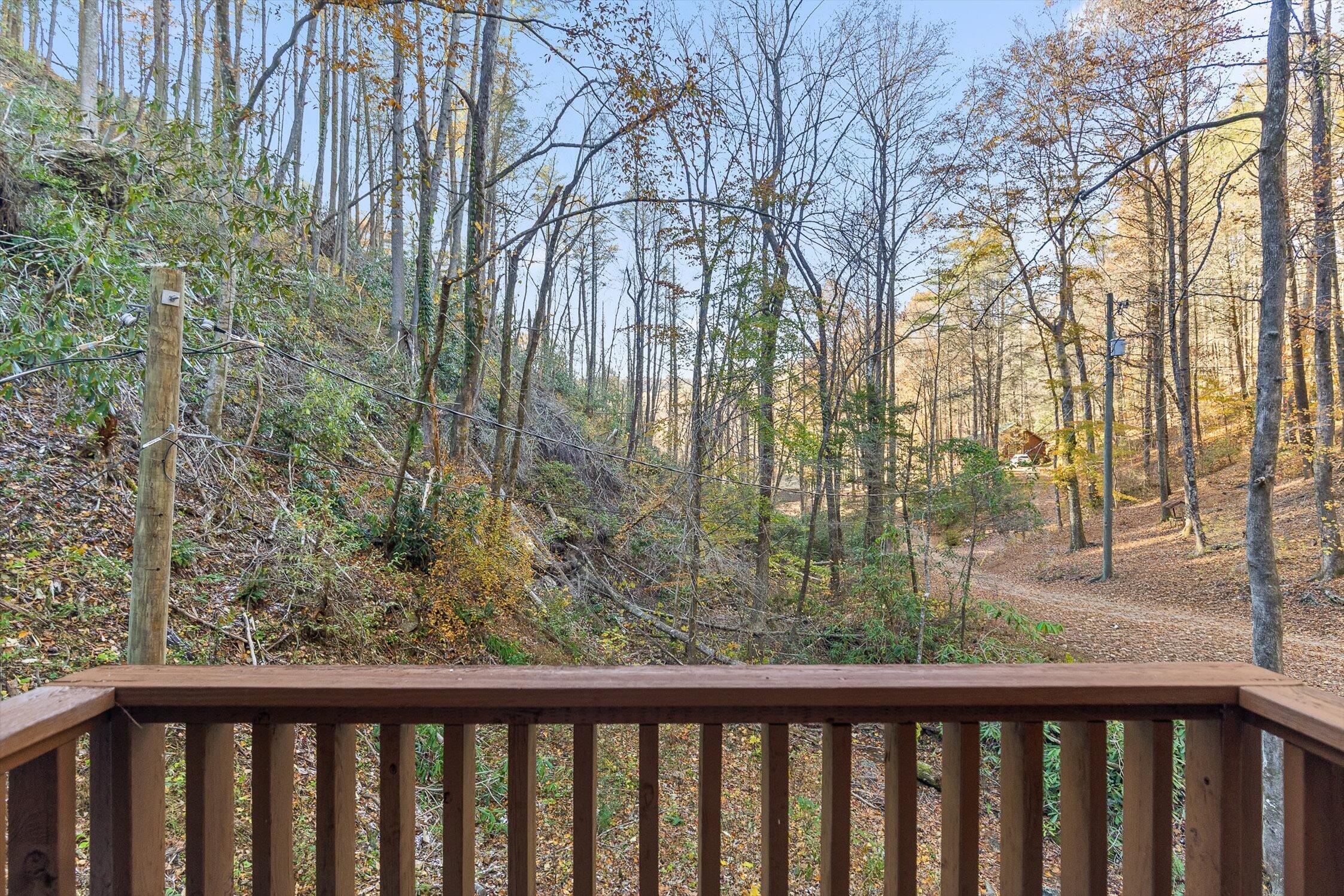180 Cohutta Forest Road Ellijay, GA 30540 - Photo 25 of 51 22-Cohutta Forest-21