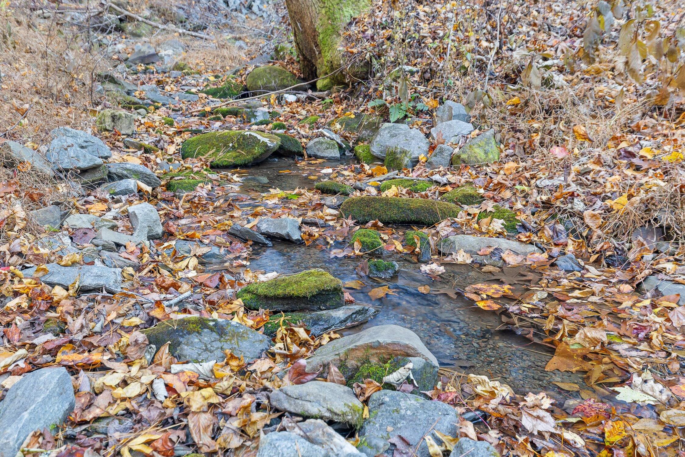 180 Cohutta Forest Road Ellijay, GA 30540 - Photo 3 of 51 29-Cohutta Forest-29