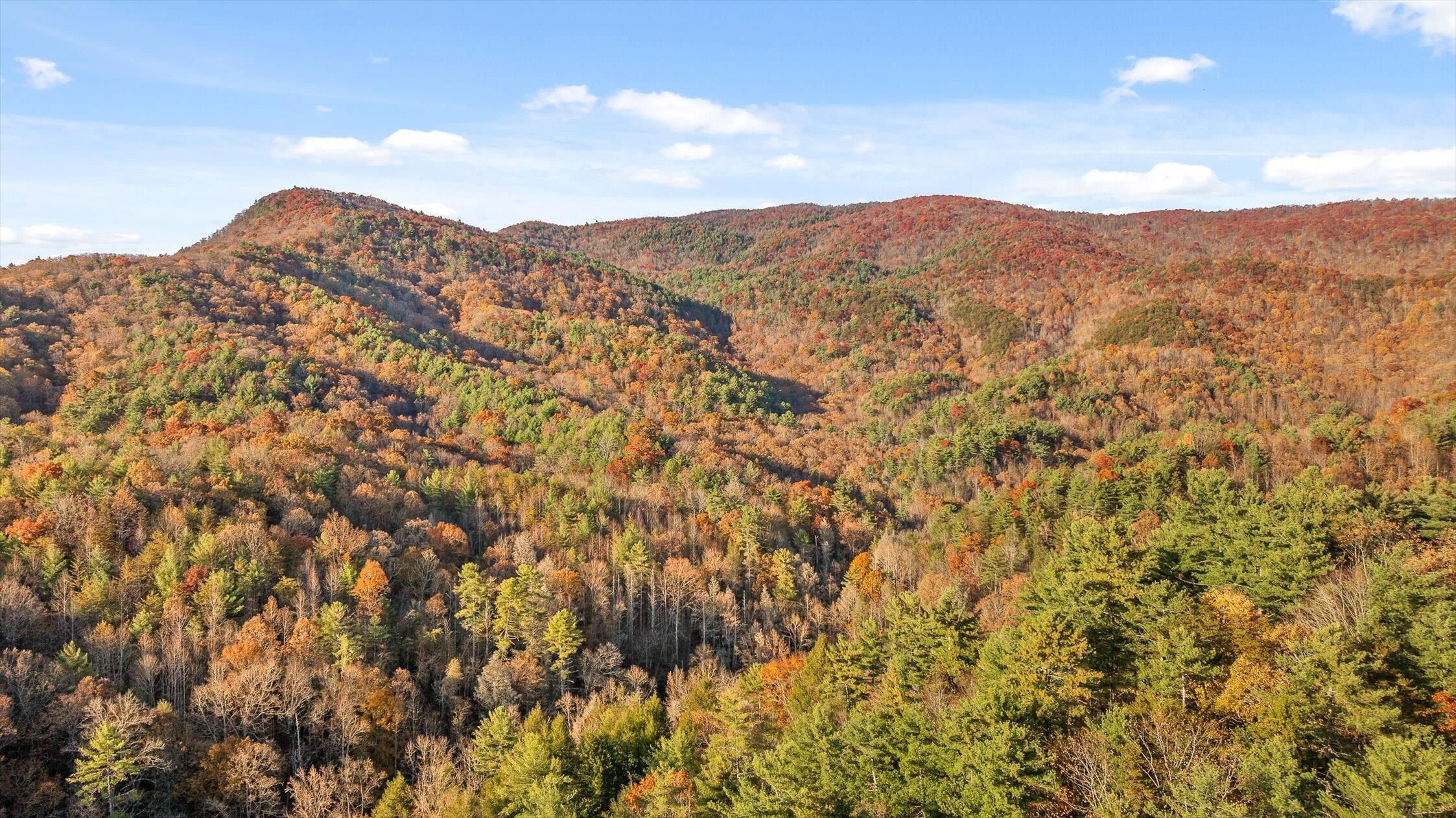 180 Cohutta Forest Road Ellijay, GA 30540 - Photo 41 of 51 41-Cohutta Forest-41